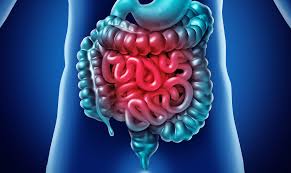 Saúde Intestinal